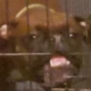 Meet your Posher, Jacob